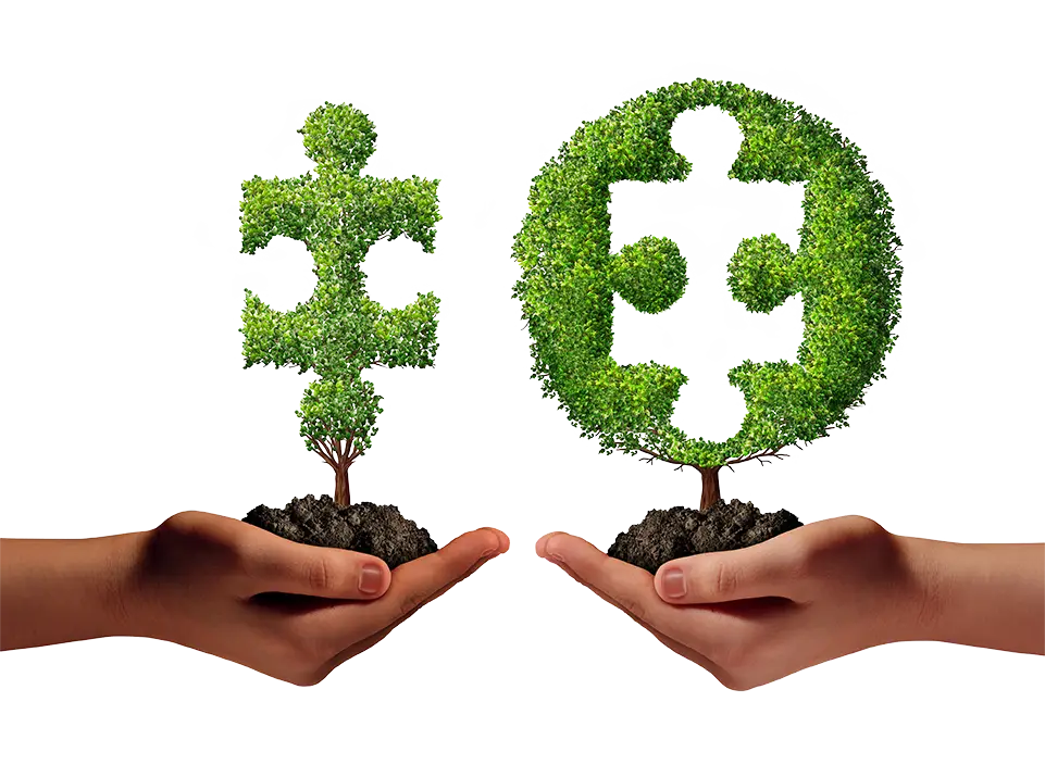 uebersetzungsservice fachuebersetzungen professional translation services